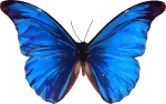 EQgence Leadership Coaching